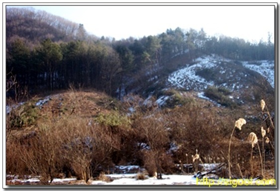 말끔히 베인 산의 모습 